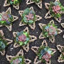 Load image into Gallery viewer, 4" Succulent Star Ornament