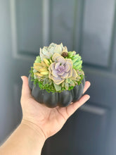 Load image into Gallery viewer, 4.5" Black Succulent Pumpkin