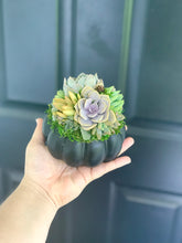 Load image into Gallery viewer, 4.5" Black Succulent Pumpkin