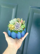 Load image into Gallery viewer, 4.5" Blue Succulent Pumpkin