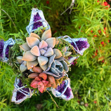 Load image into Gallery viewer, 4" Succulent Star Ornament