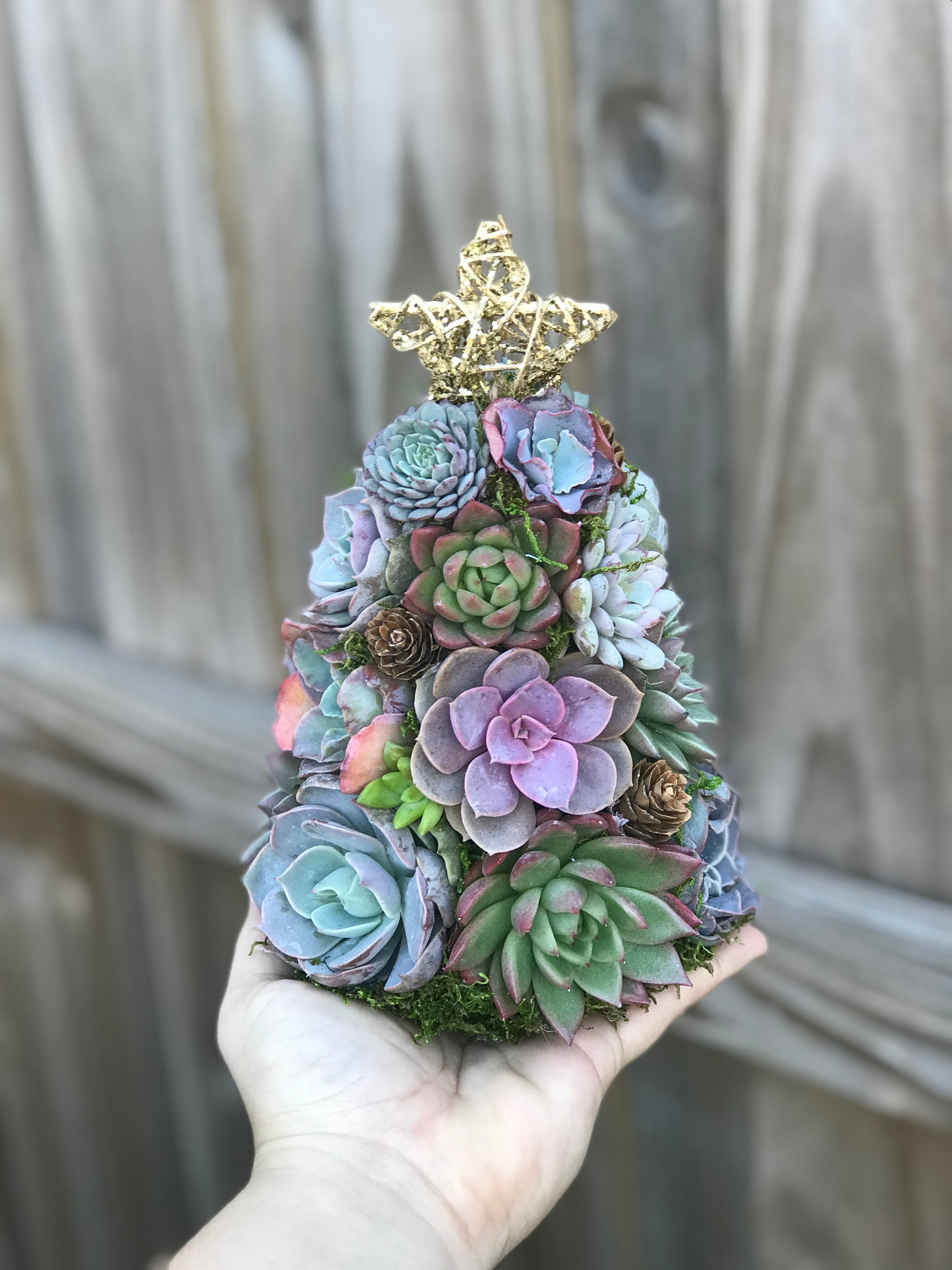 artificial succulent christmas tree 9" Mini Aurora Succulent Tree (Succulent Christmas Tree)