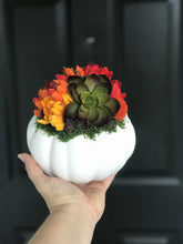 Load image into Gallery viewer, Faux Succulent Pumpkins
