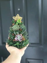 Load image into Gallery viewer, 9" Mini Alpine Succulent Tree