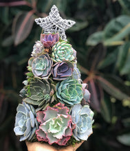 Load image into Gallery viewer, 13&quot; Aurora Succulent Tree (Succulent Christmas Tree)
