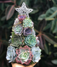 Load image into Gallery viewer, 13" Aurora Succulent Tree (Succulent Christmas Tree)