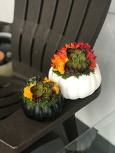 Load image into Gallery viewer, Faux Succulent Pumpkins