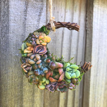 Load image into Gallery viewer, 2.5” Succulent Crescent Moon