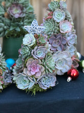 Load image into Gallery viewer, 9" Mini Aurora Succulent Tree (Succulent Christmas Tree)
