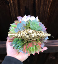 Load image into Gallery viewer, 9" Mini Aurora Succulent Tree (Succulent Christmas Tree)