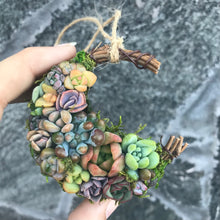 Load image into Gallery viewer, 2.5” Succulent Crescent Moon
