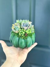 Load image into Gallery viewer, 4.5" Green Succulent Pumpkin