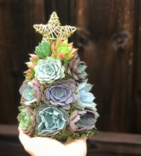 Load image into Gallery viewer, 9" Mini Aurora Succulent Tree (Succulent Christmas Tree)