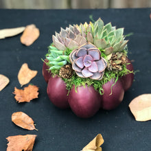 Load image into Gallery viewer, 6" Purple Succulent Pumpkin