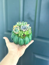 Load image into Gallery viewer, 4.5" Green Succulent Pumpkin