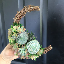Load image into Gallery viewer, 6" Succulent Crescent Moon