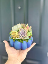 Load image into Gallery viewer, 4.5" Blue Succulent Pumpkin