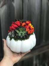 Load image into Gallery viewer, Faux Succulent Pumpkins