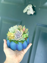 Load image into Gallery viewer, 4.5" Blue Succulent Pumpkin