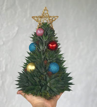 Load image into Gallery viewer, 13" Alpine Succulent Tree (Succulent Christmas Tree)