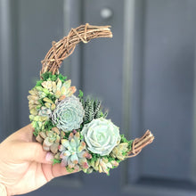 Load image into Gallery viewer, 6" Succulent Crescent Moon