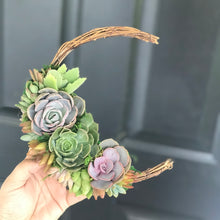 Load image into Gallery viewer, 8" Succulent Crescent Moon