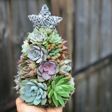Load image into Gallery viewer, 9" Mini Aurora Succulent Tree (Succulent Christmas Tree)