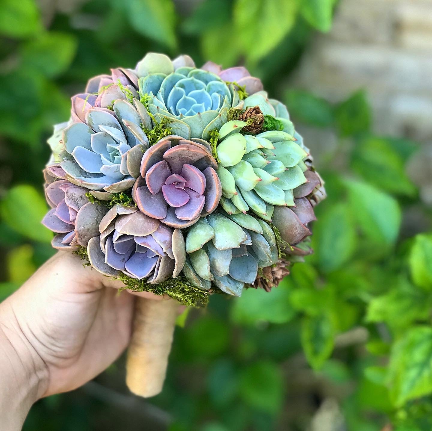 Succulent Bouquets – Terracotta Corner