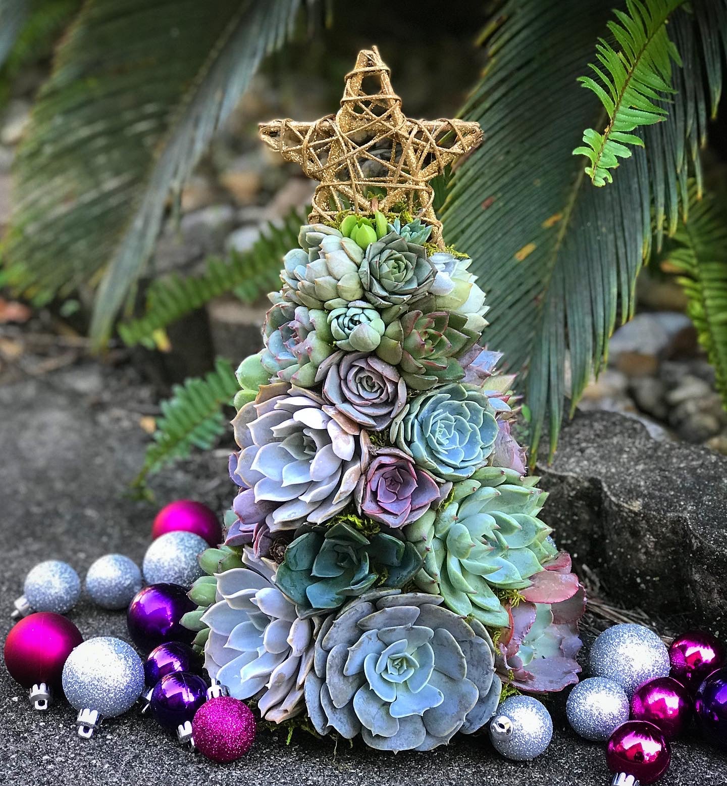 succulent tree christmas 13" Aurora Succulent Tree (Succulent Christmas Tree)