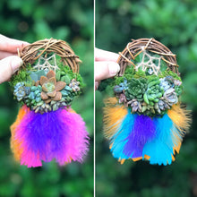 Load image into Gallery viewer, 3&quot; Succulent Dreamcatcher Ornament
