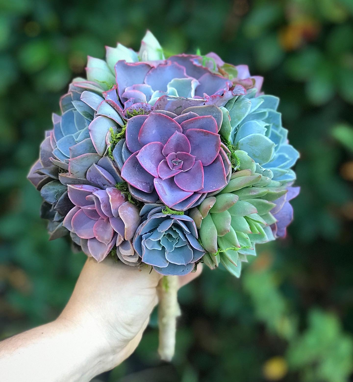 etsy succulent bouquet Succulent Bouquets – Terracotta Corner