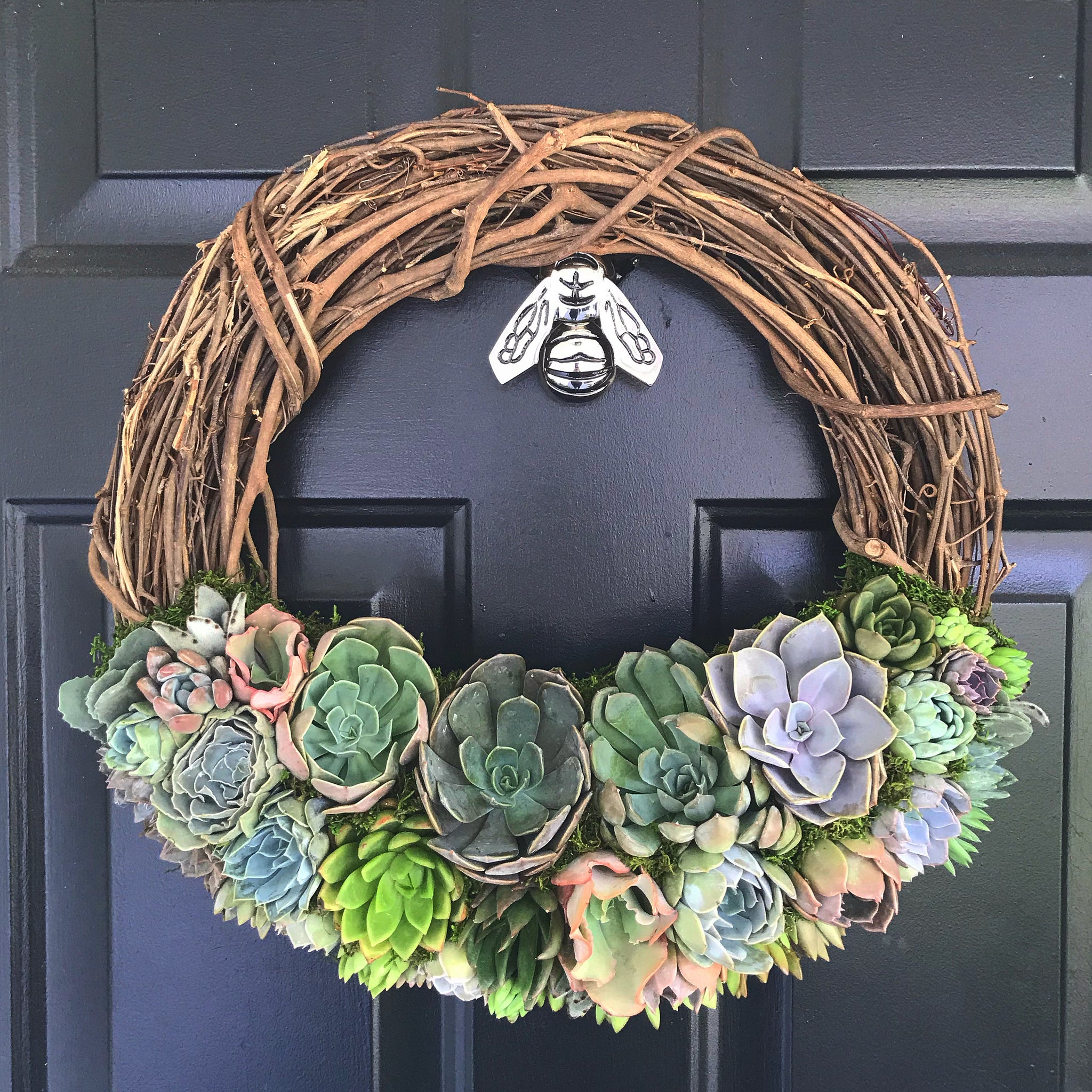 succulent grapevine wreath 14" Succulent Wreath