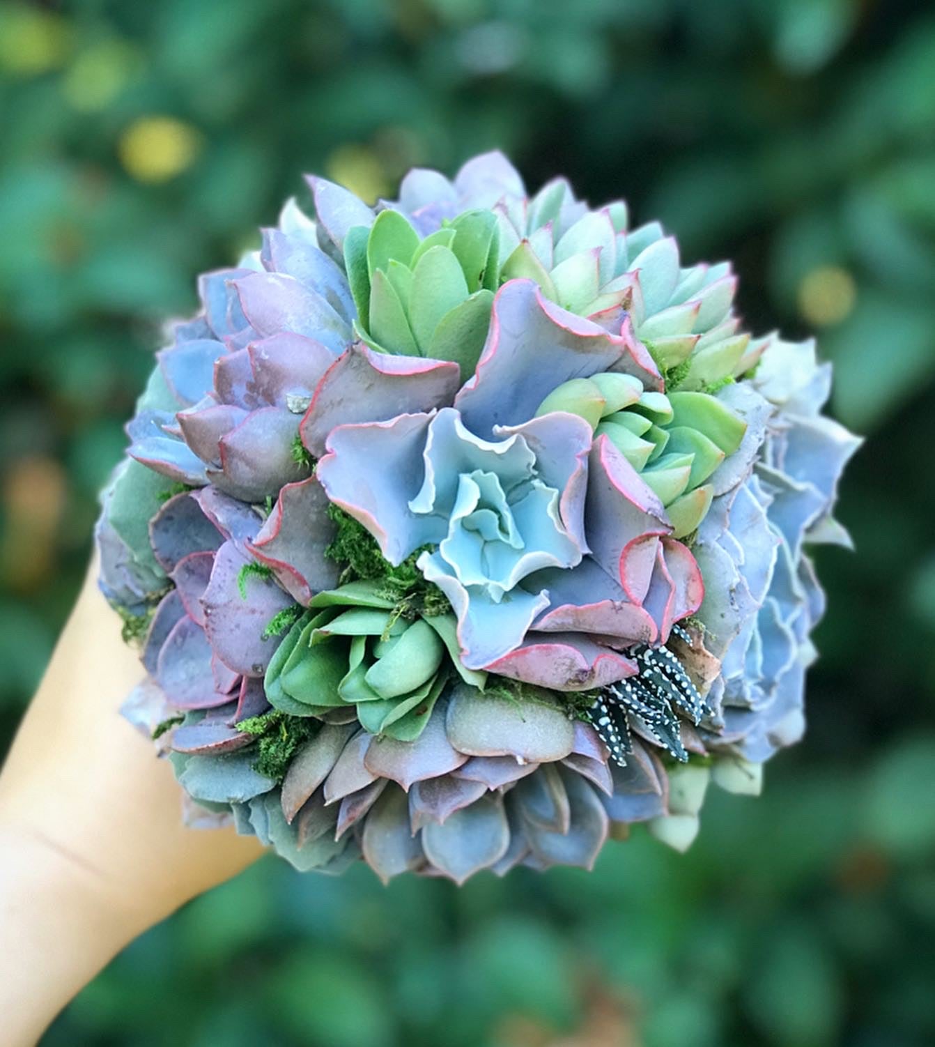 Succulent Bouquets – Terracotta Corner