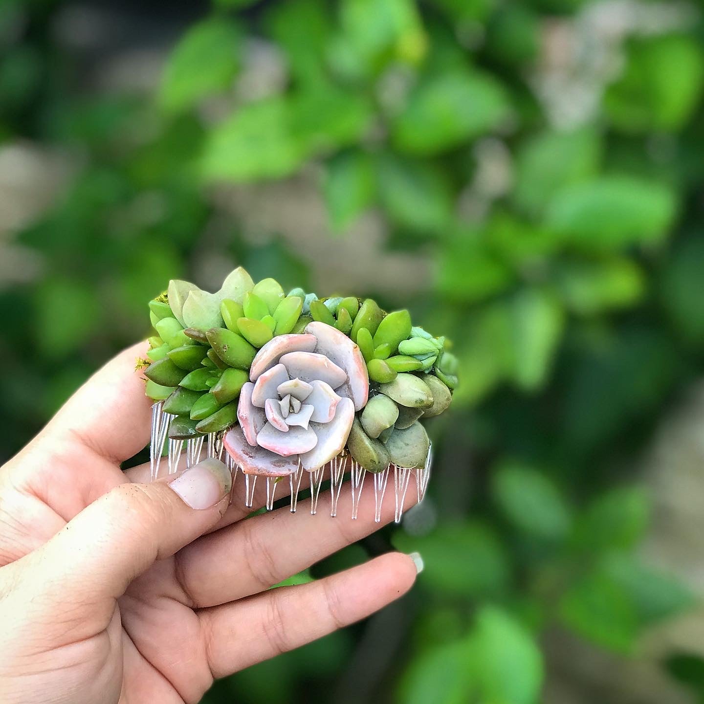 succulent hair piece Succulent Hair Comb