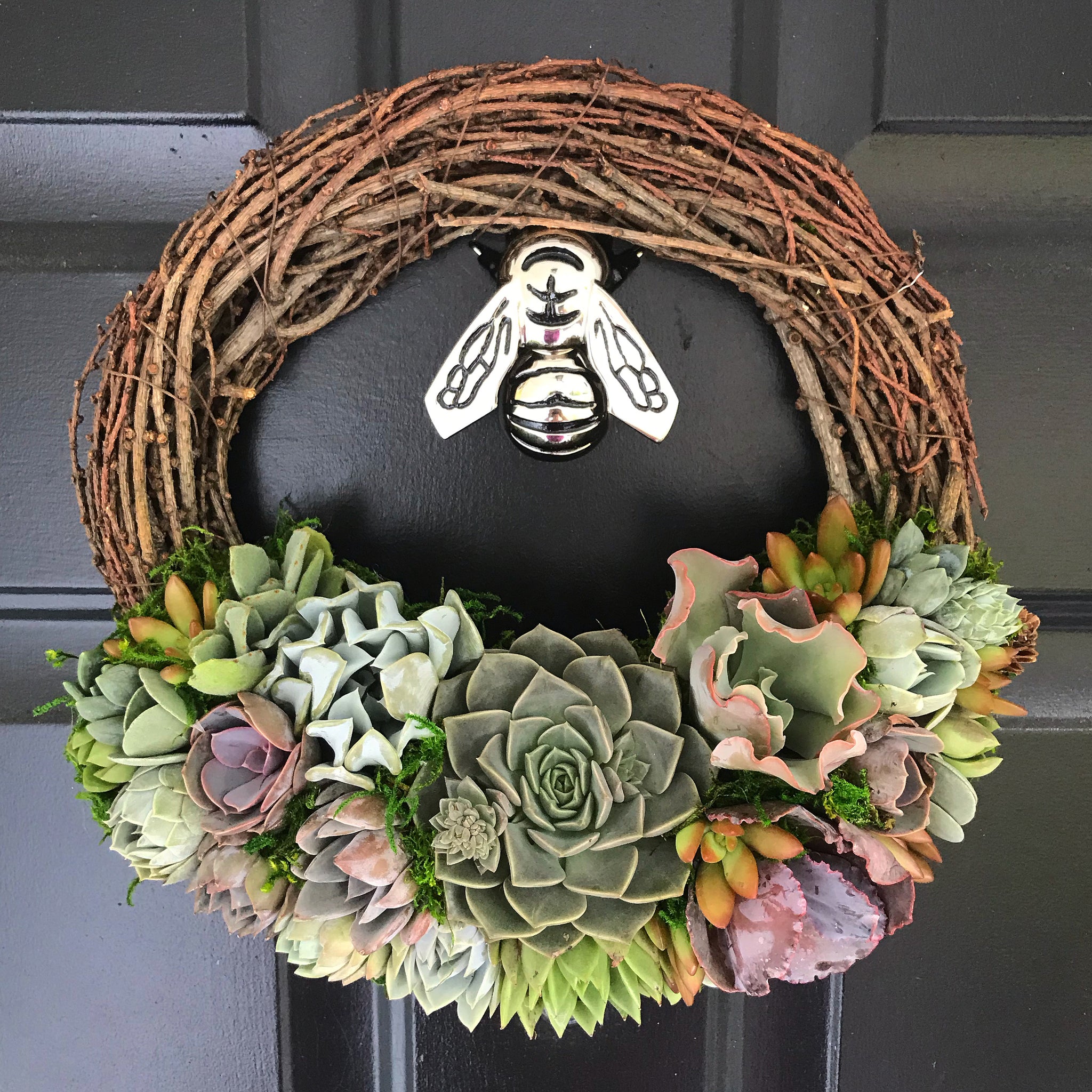real succulent wreath 12" Succulent Wreath – Terracotta Corner