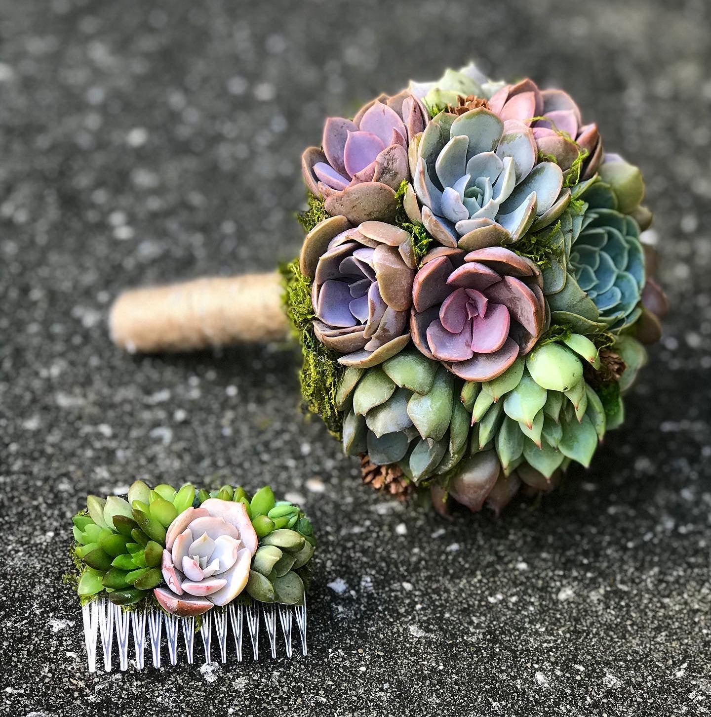 Succulent Bouquets – Terracotta Corner