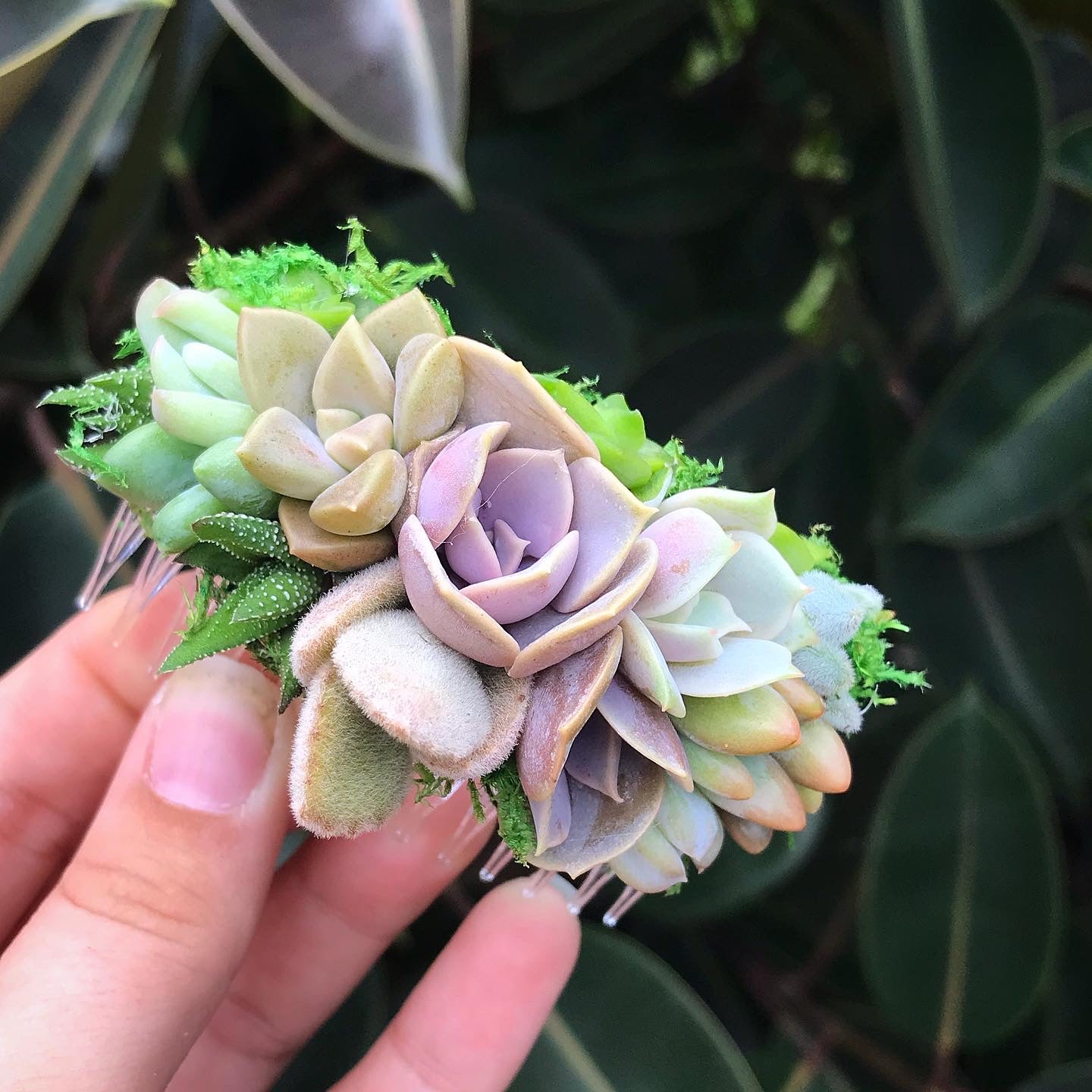 succulent hair piece Succulent Hair Comb