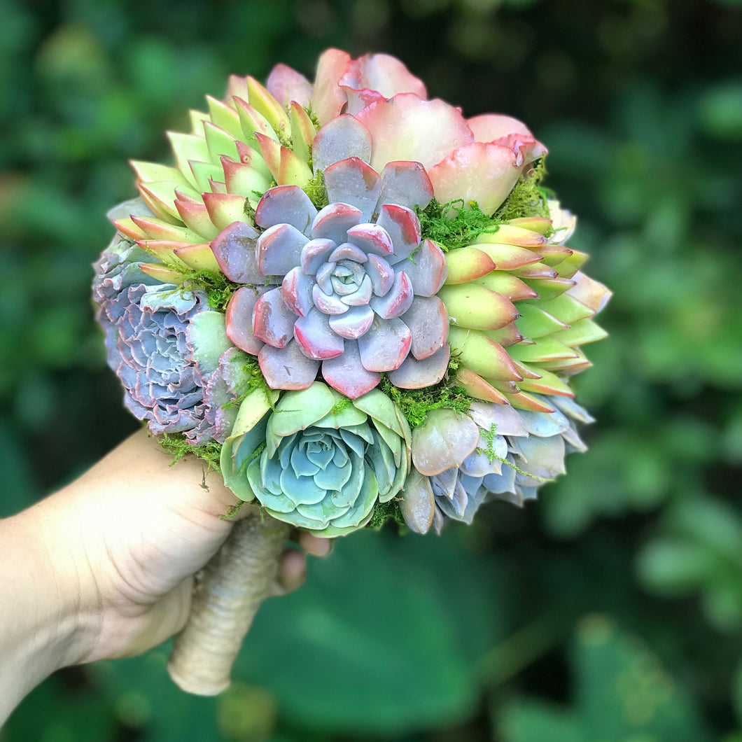 etsy succulent bouquet Succulent Bouquets – Terracotta Corner