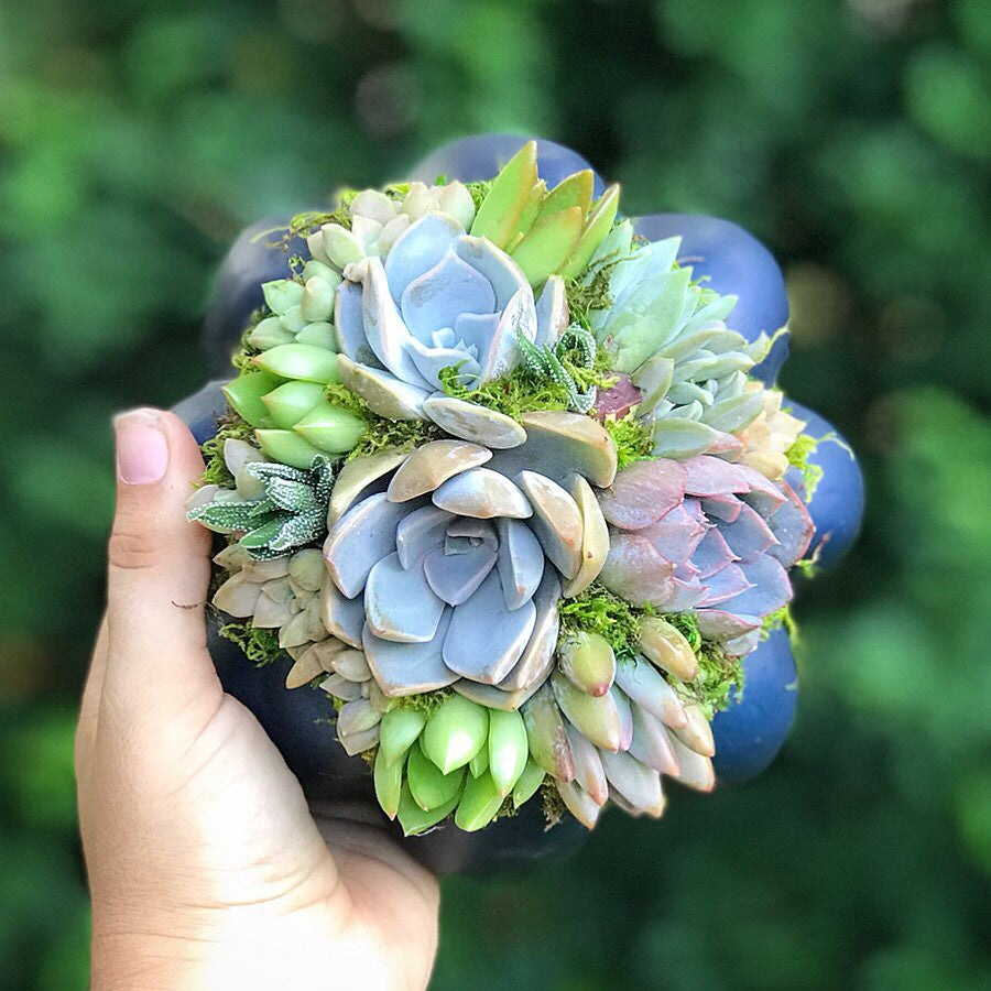 blue succulent bouquet 6