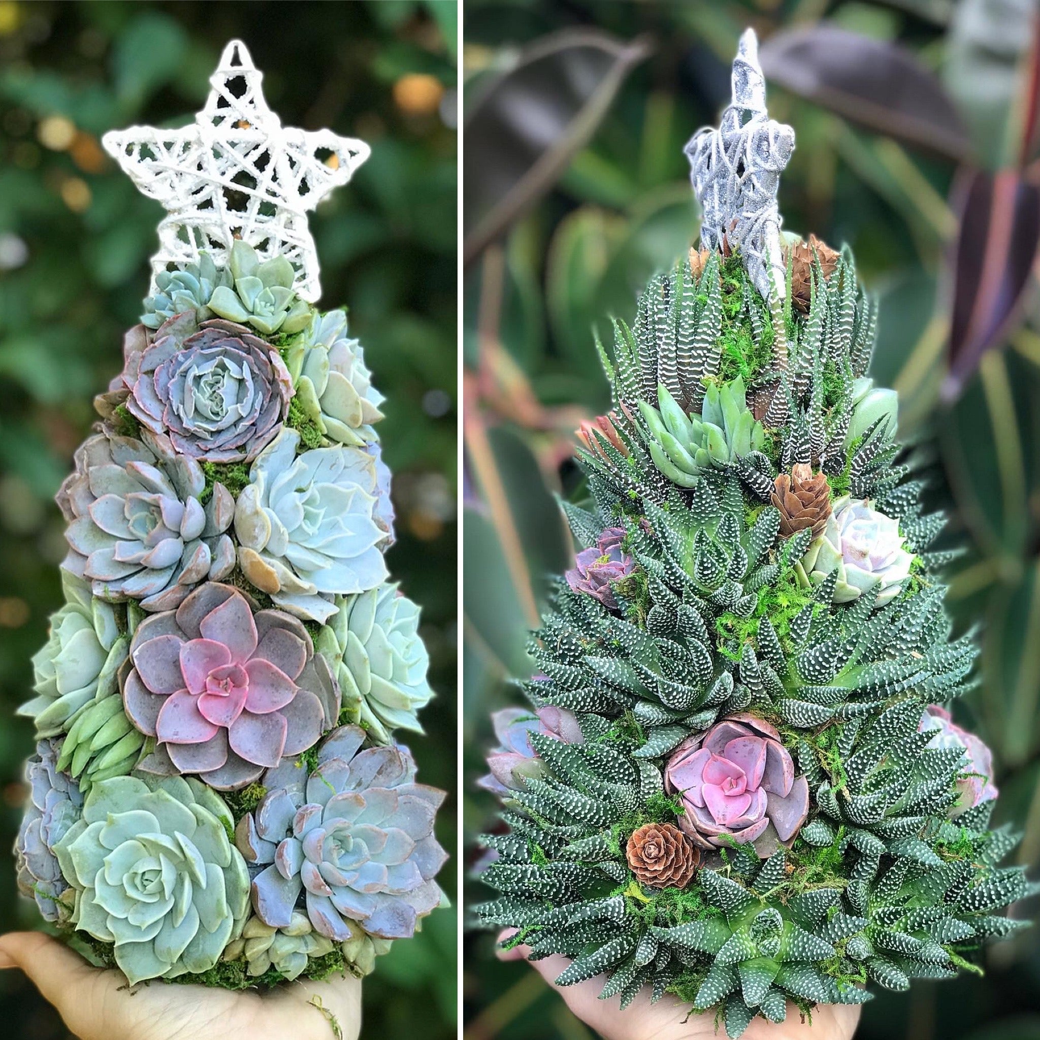 etsy succulent 13" Aurora Succulent Tree (Succulent Christmas Tree) – Terracotta Corner