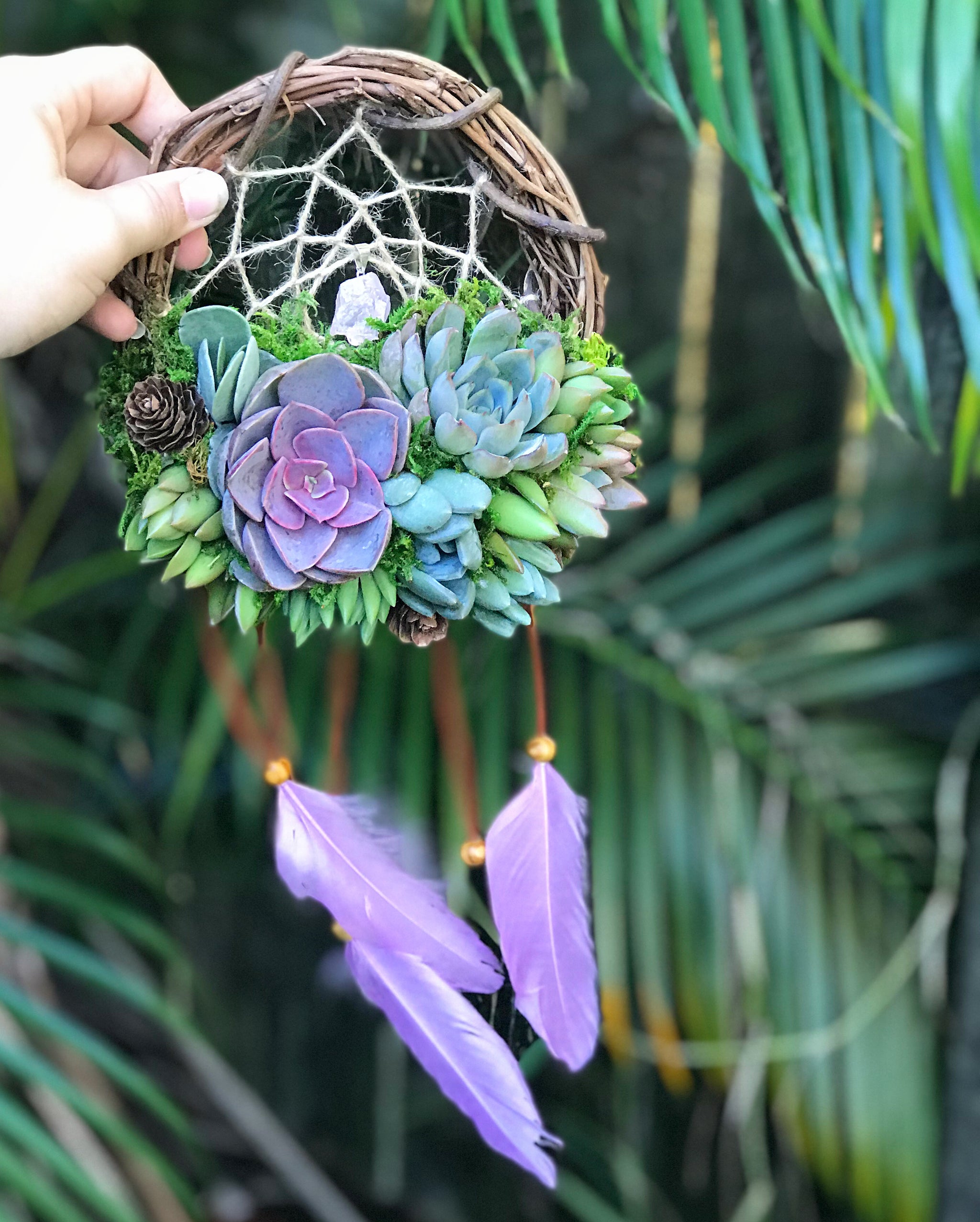 succulent dream catcher 6" Succulent Dreamcatcher