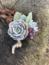 Load image into Gallery viewer, Succulent Boutonnières
