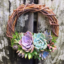 Load image into Gallery viewer, 6&quot; Succulent Wreath
