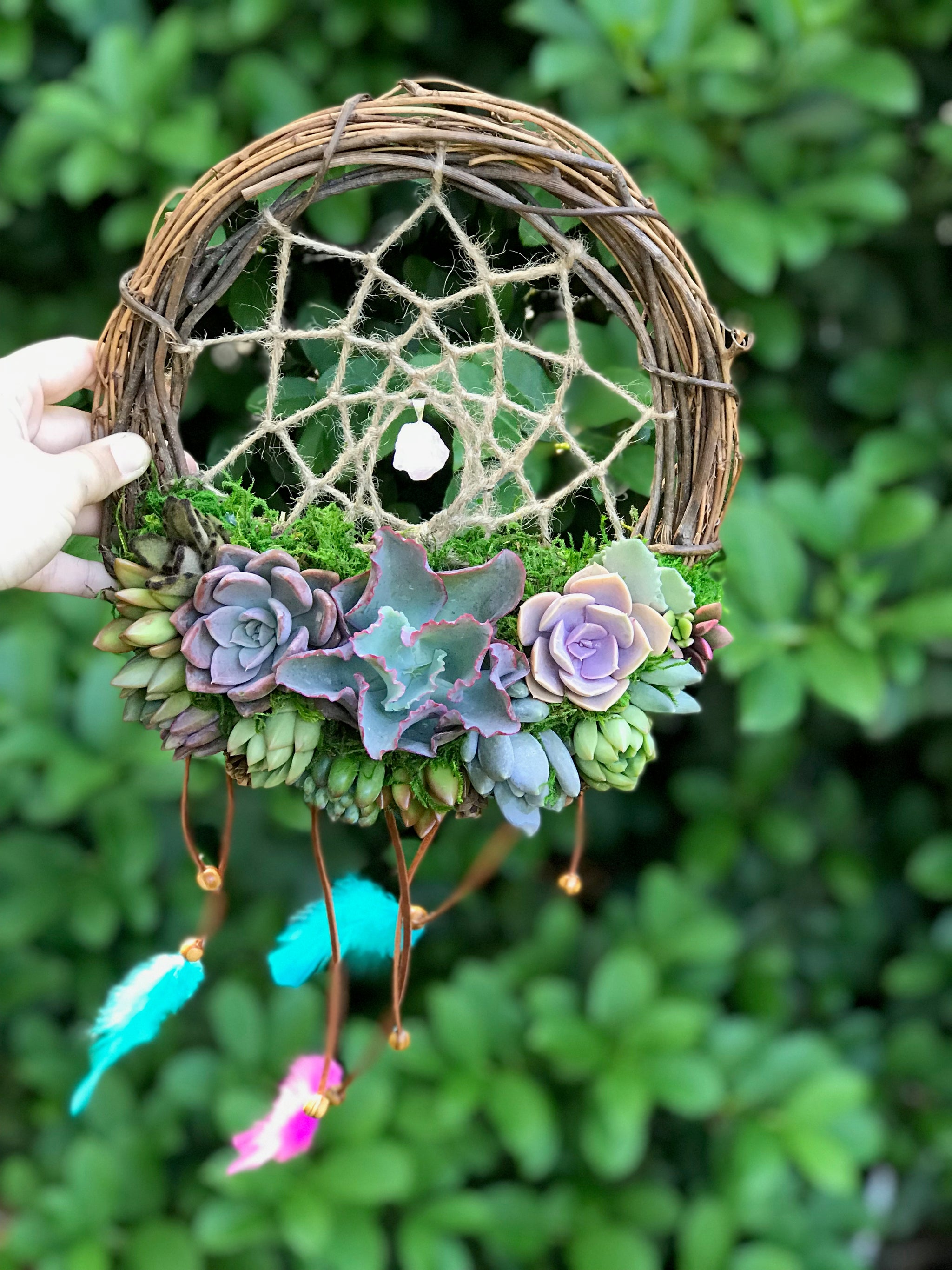 succulent dream catchers 10" Succulent Dreamcatcher