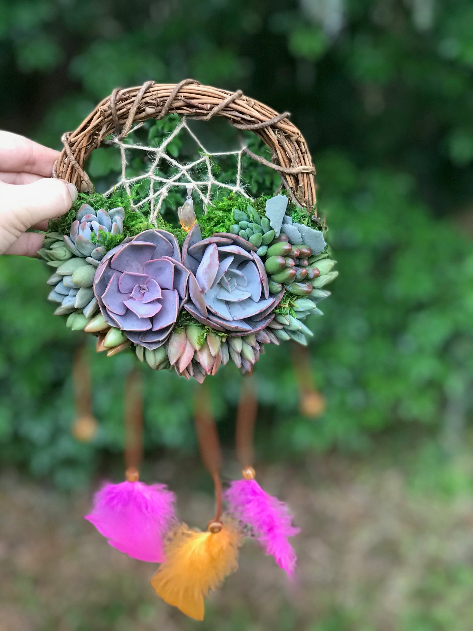 succulent dream catchers 6" Succulent Dreamcatcher