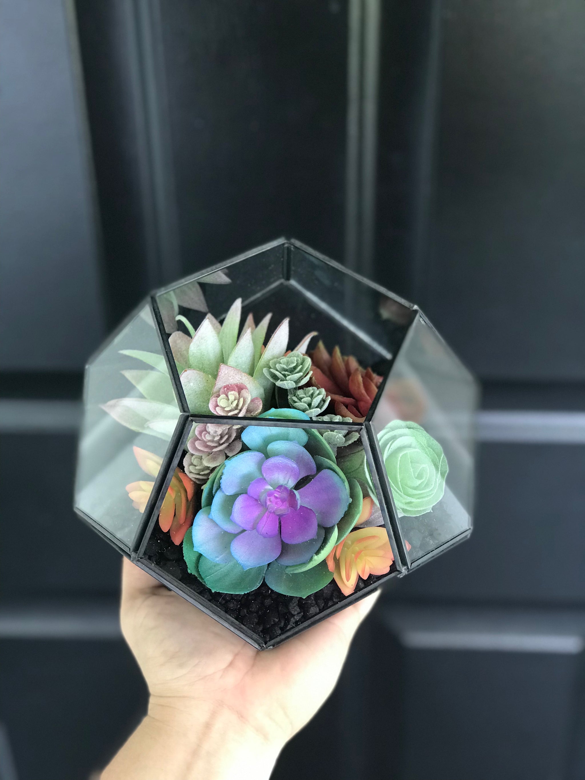 artificial succulent terrarium DIY FAUX Succulent Terrarium Kit 7"x6" (BLACK)