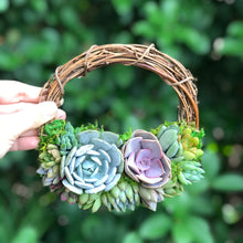 Load image into Gallery viewer, 6&quot; Succulent Wreath
