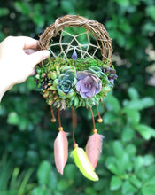 Load image into Gallery viewer, 6&quot; Succulent Dreamcatcher
