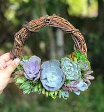 Load image into Gallery viewer, 8&quot; Succulent Wreath
