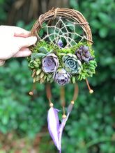 Load image into Gallery viewer, 6&quot; Succulent Dreamcatcher
